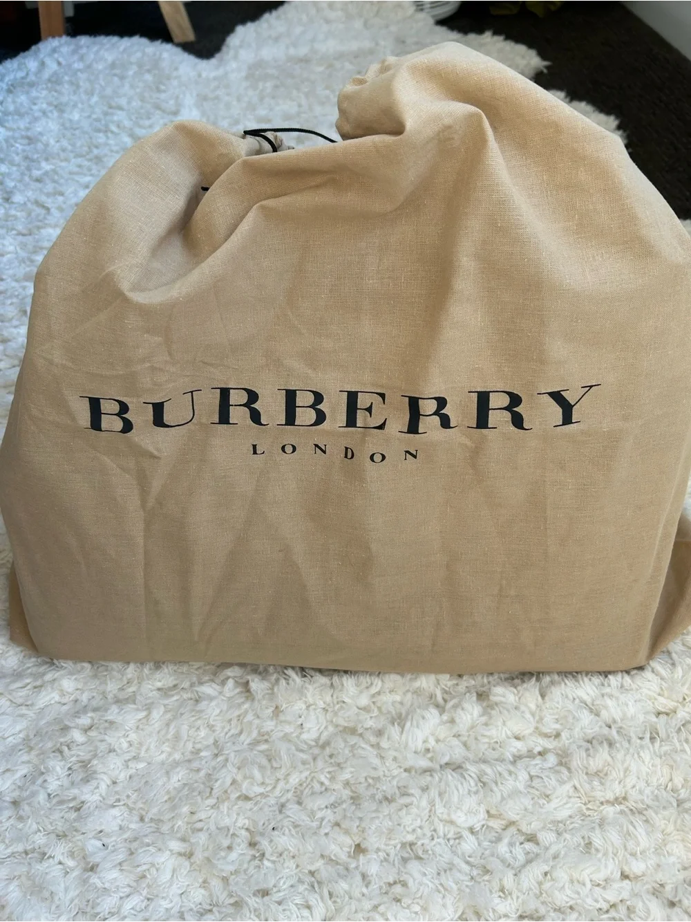 Rare Burberry of London Haymarket Pet Carrier Tote - Picture 14 of 16
